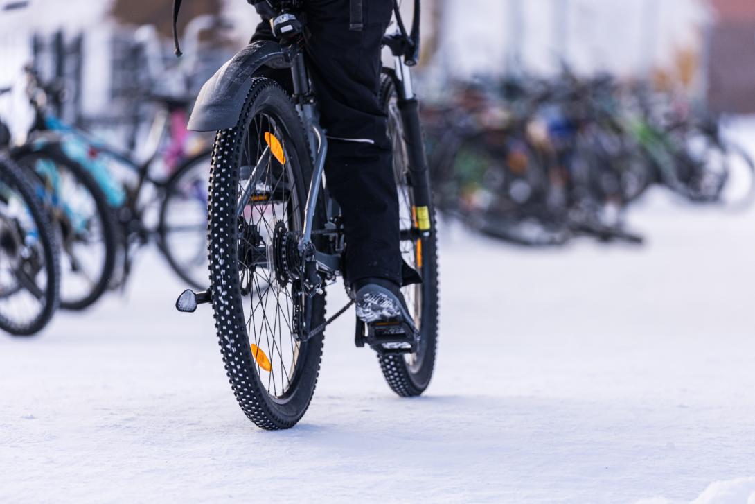 Talvipyöräilyä parhaimmillaan. Kuva Brave Teddy